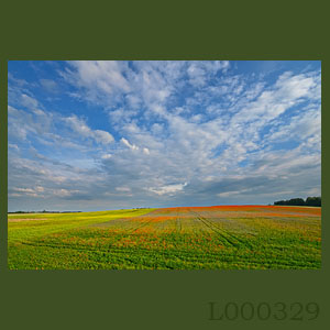 Fotogaleria MORZE - Andrzej Jackowski, galeria zdjęć, morskie zdjęcia, panoramy, Świnoujście