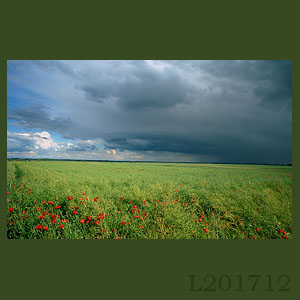 Fotogaleria MORZE - Andrzej Jackowski, galeria zdjęć, morskie zdjęcia, panoramy, Świnoujście