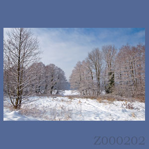 Fotogaleria MORZE - Andrzej Jackowski, galeria zdjęć, morskie zdjęcia, panoramy, Świnoujście