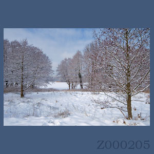 Fotogaleria MORZE - Andrzej Jackowski, galeria zdjęć, morskie zdjęcia, panoramy, Świnoujście