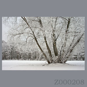 Fotogaleria MORZE - Andrzej Jackowski, galeria zdjęć, morskie zdjęcia, panoramy, Świnoujście