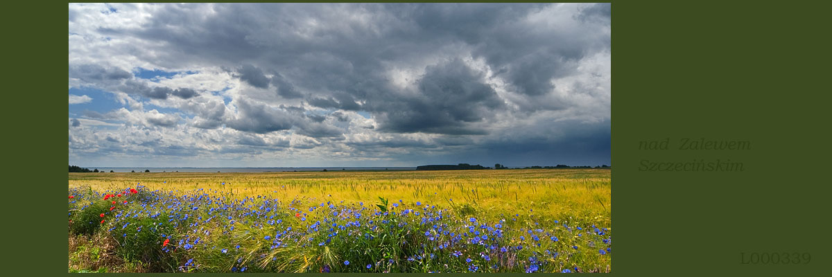 Fotogaleria MORZE - Andrzej Jackowski, galeria zdjęć, morskie zdjęcia, panoramy, Świnoujście